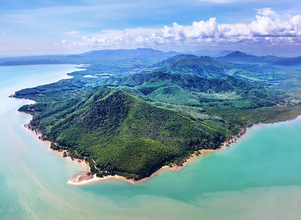 大钦岛海参