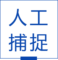 人工捕捉大钦岛海参