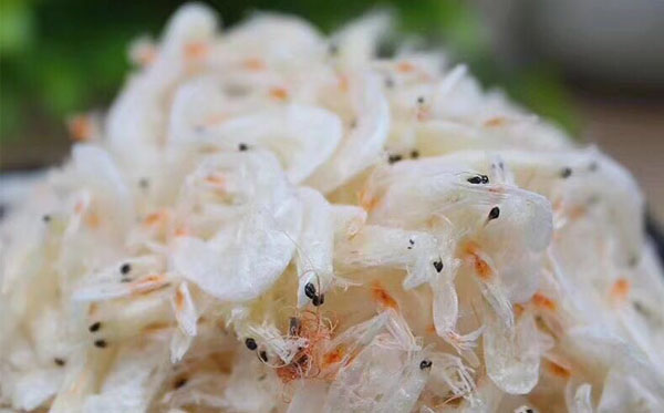 野生无盐虾皮针对于传统虾皮的优势