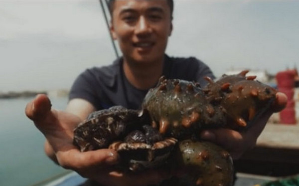 龙潜海参