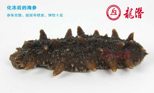 长岛海参的适用人群