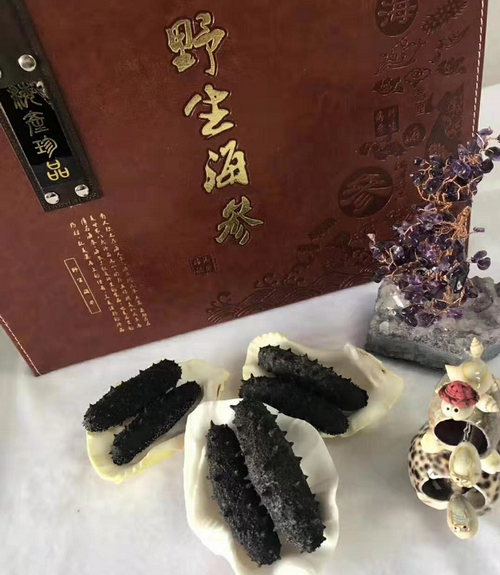 大钦岛野生海参