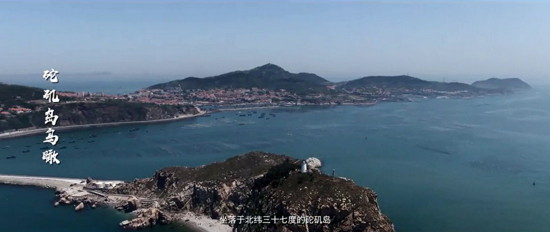 长岛砣矶岛鸟瞰