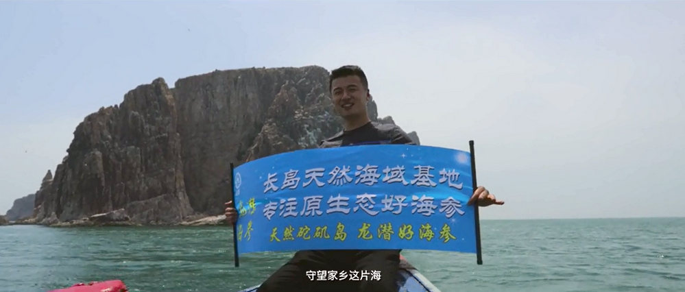 烟台龙潜野生海参捕捞